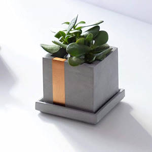 Figuración $2.990 en amarillas.com y mercantil.com