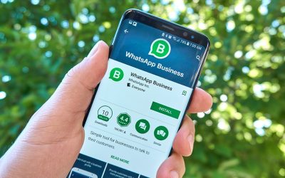 Aprende a usar WhatsApp Business para vender tus productos