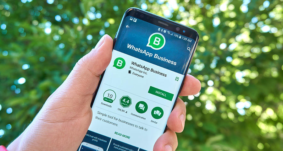 Blog: Aprende a usar WhatsApp Business para vender tus productos - PortalesdeNegocios.com